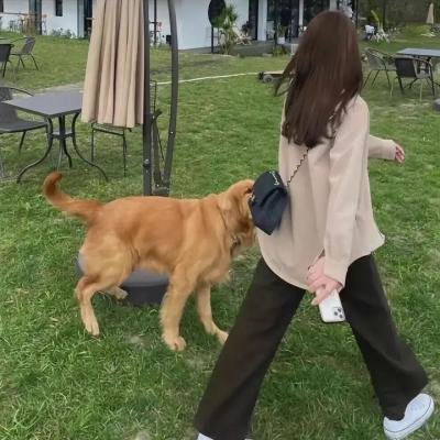 实习医生格蕾第五季